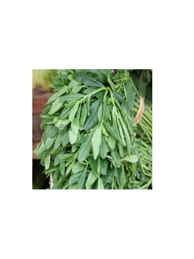 Water Leaf