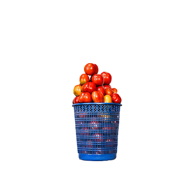 Tomatoes - Plastic Basket