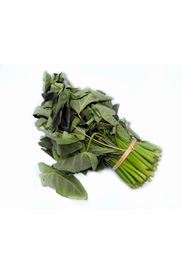 Coco Yam Leaf