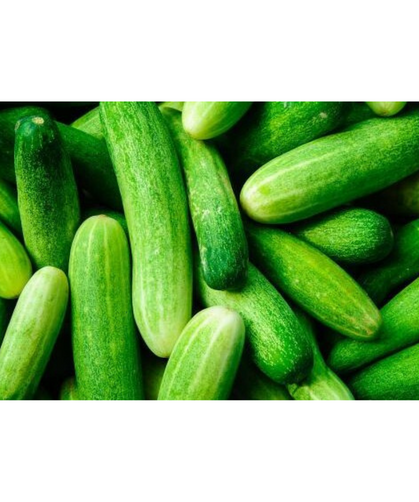 Cucumber - per pack