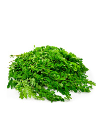 Moringa Leaf (Zogale) - per cup