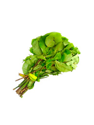 Oha Leaf
