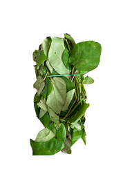 Okazi Leaf