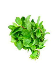 Scent Leaf - per head