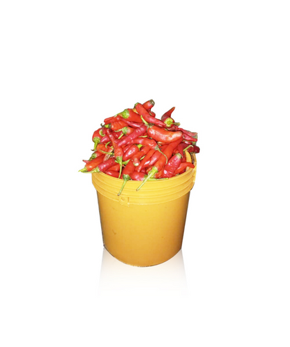 Shombo - Basket