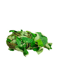 Uziza Leaf/Hot Leaf