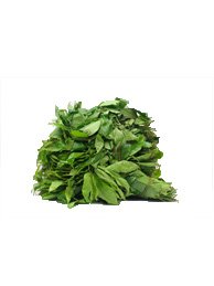 Atama Leaf
