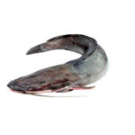 Frozen Catfish (Bag) 25kg