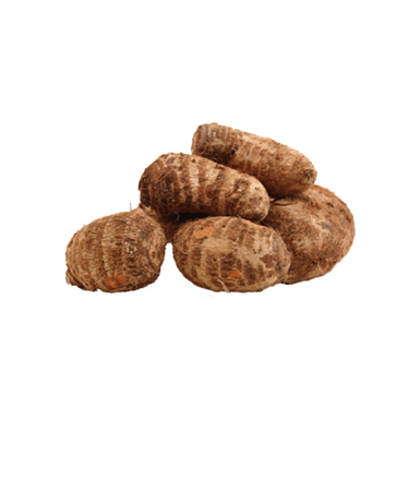 Cocoyam - (Paint Bucket)