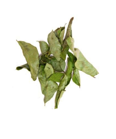 Curry Leaves