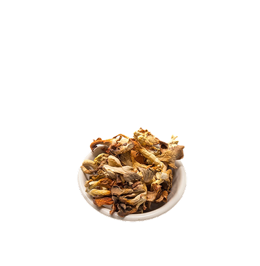Dried Mushroom