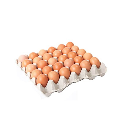 Eggs 30 cells