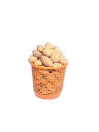 Basket of Irish