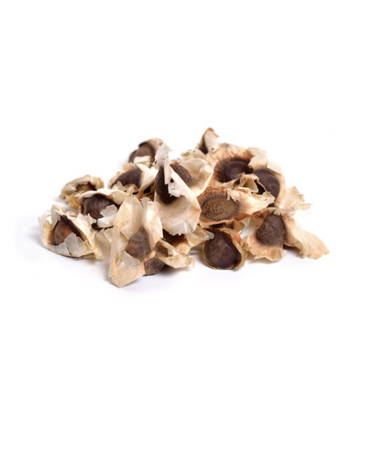 Moringa Seeds (Mudu)