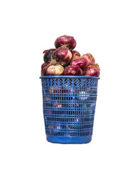 Onions