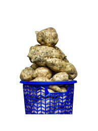 Basket of Sweet Potatoes