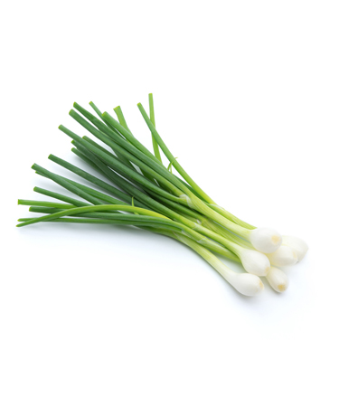 Spring Onions