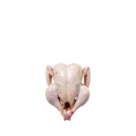Frozen Chicken (Bag) 10kg