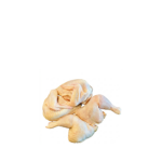 Cut-4 Chicken - 1kg