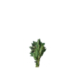 Efo Shoko - 1 Bunch