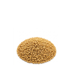 Fenugreek