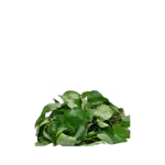 Uziza Leaf - 1 Bunch