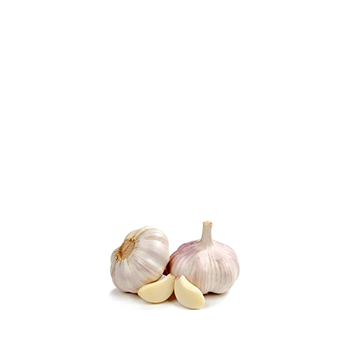 white garlic White Garlic - Small Bag - Image 1